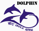 Dolphin (Free)